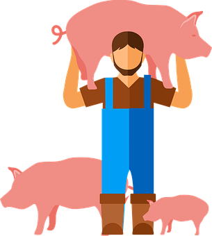 Macellazione suini a domicilio 2025-2026