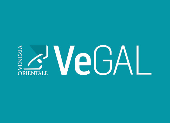 Bandi VeGAL PSLLeader 2014-20