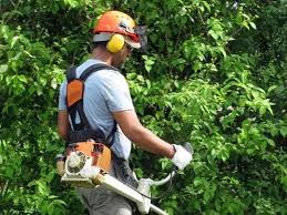 Bando di concorso per esami per la copertura di n. 1 posto di collaboratore tecnico-operaio manutentore e conduttore di macchine operatrici complesse, a tempo pieno e indeterminato, categoria b3