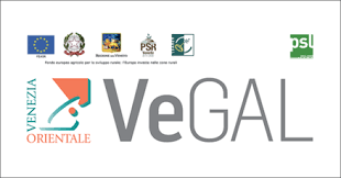 VeGAL presenta: Bando 6.4.2 martedì 5 marzo ore 14.30 | Bandi 4.1.1 e 6.4.2 mercoledì 6 marzo ore 10.00